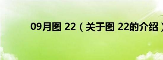 09月图 22（关于图 22的介绍）