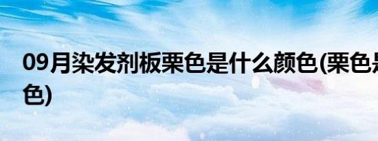 09月染发剂板栗色是什么颜色(栗色是什么颜色)