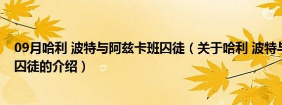 09月哈利 波特与阿兹卡班囚徒（关于哈利 波特与阿兹卡班囚徒的介绍）