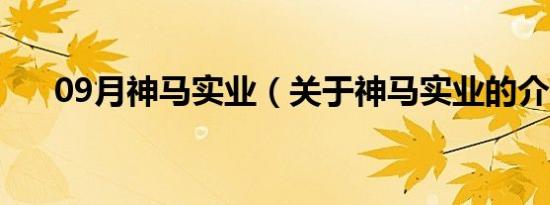 09月神马实业（关于神马实业的介绍）