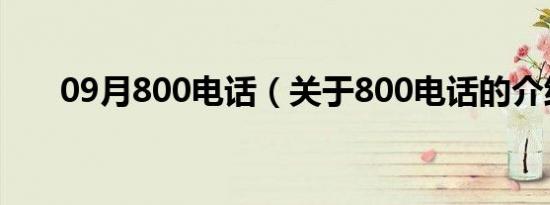 09月800电话（关于800电话的介绍）