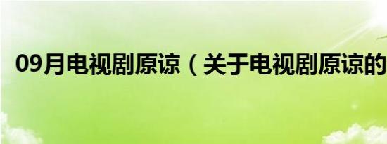 09月电视剧原谅（关于电视剧原谅的介绍）