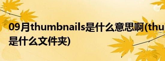 09月thumbnails是什么意思啊(thumbnails是什么文件夹)