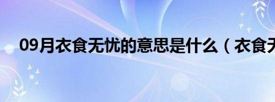 09月衣食无忧的意思是什么（衣食无忧）