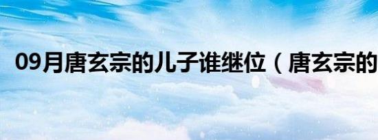 09月唐玄宗的儿子谁继位（唐玄宗的儿子）