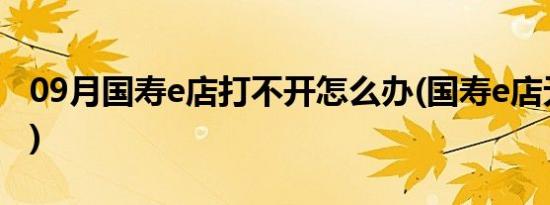 09月国寿e店打不开怎么办(国寿e店无法登陆)