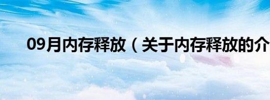 09月内存释放（关于内存释放的介绍）