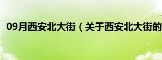 09月西安北大街（关于西安北大街的介绍）