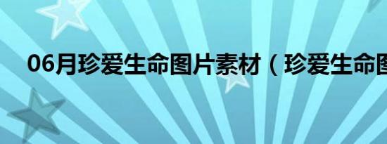 06月珍爱生命图片素材（珍爱生命图片）