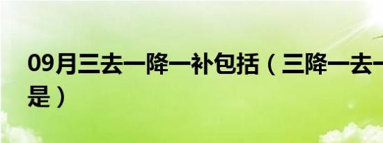 09月三去一降一补包括（三降一去一补指的是）