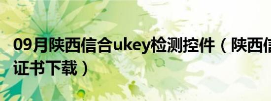 09月陕西信合ukey检测控件（陕西信合ukey证书下载）