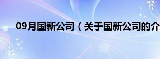 09月国新公司（关于国新公司的介绍）