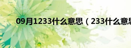 09月1233什么意思（233什么意思）