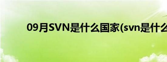 09月SVN是什么国家(svn是什么)