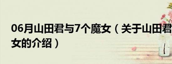 06月山田君与7个魔女（关于山田君与7个魔女的介绍）