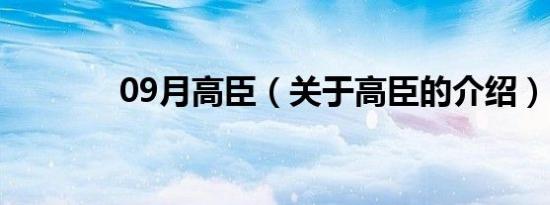 09月高臣（关于高臣的介绍）