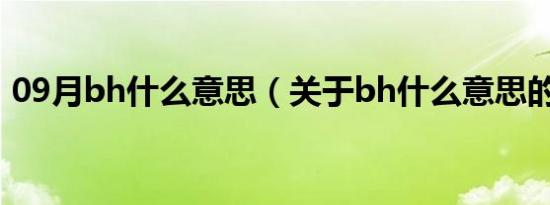 09月bh什么意思（关于bh什么意思的介绍）