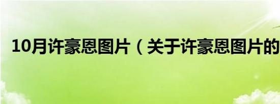 10月许豪恩图片（关于许豪恩图片的介绍）