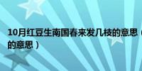 10月红豆生南国春来发几枝的意思（红豆生南国春来发几枝的意思）