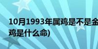 10月1993年属鸡是不是金命缺土(1993年属鸡是什么命)