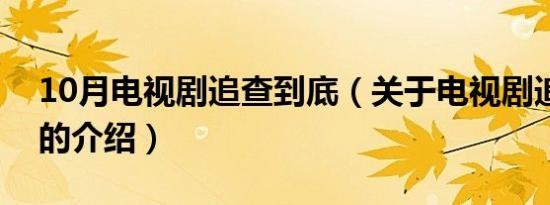 10月电视剧追查到底（关于电视剧追查到底的介绍）