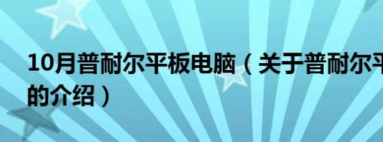 10月普耐尔平板电脑（关于普耐尔平板电脑的介绍）