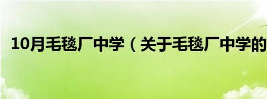 10月毛毯厂中学（关于毛毯厂中学的介绍）