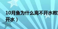 10月鱼为什么离不开水教案（鱼为什么离不开水）