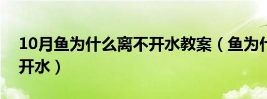 10月鱼为什么离不开水教案（鱼为什么离不开水）