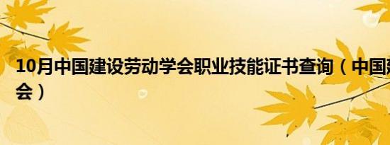 10月中国建设劳动学会职业技能证书查询（中国建设劳动学会）