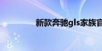 新款奔驰gls家族官图发布